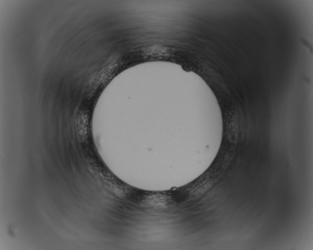 X0000103270708200809261202