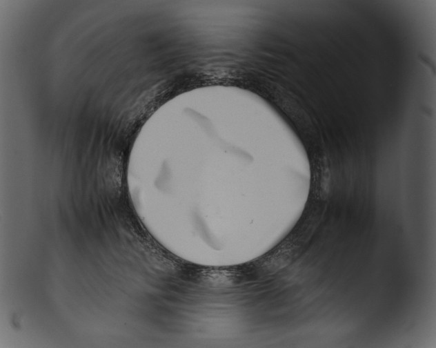 X0000103270710200809261202