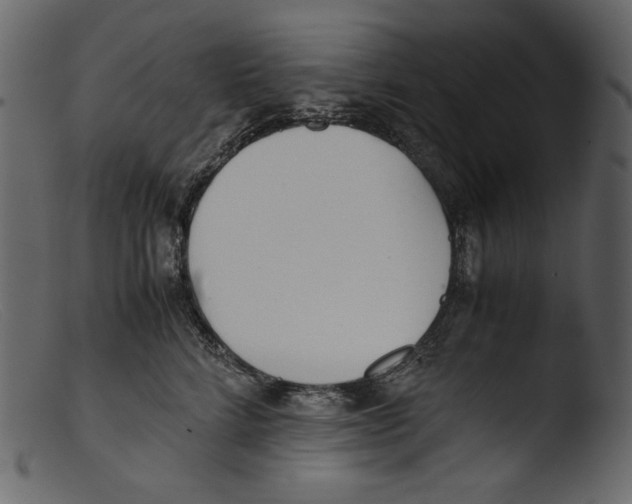 X0000103270712200809261202