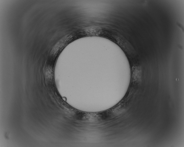 X0000103270713200809261202