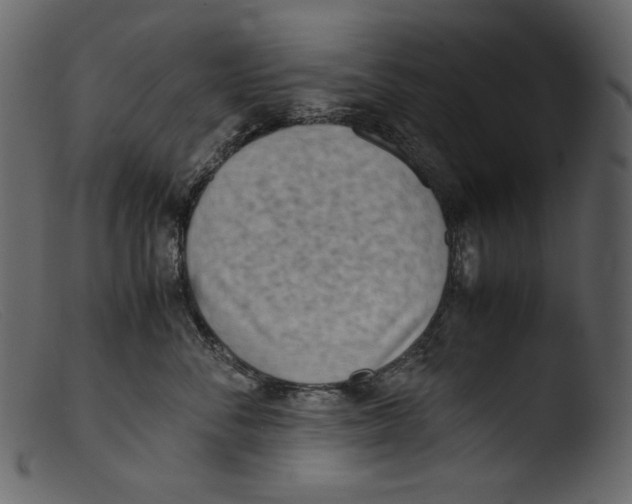 X0000103270716200809261202