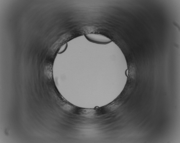 X0000103270719200809261202
