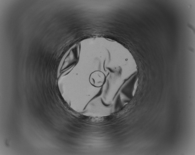 X0000103270720200809261202