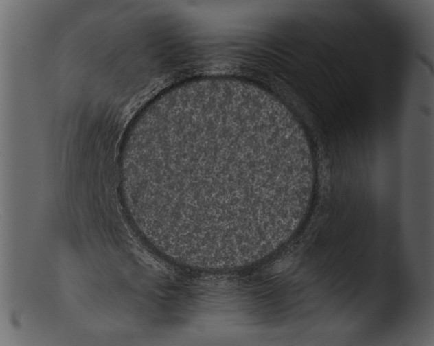 X0000103270721200809261201