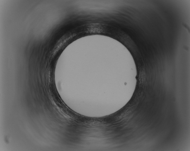 X0000103270722200809261201