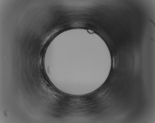 X0000103270723200809261201