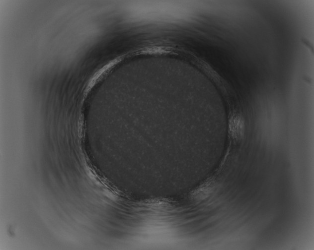 X0000103270724200809261201