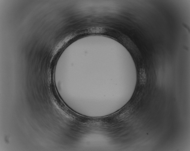 X0000103270726200809261201