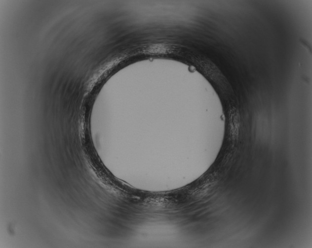 X0000103270728200809261201