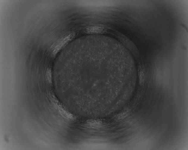 X0000103270729200809261201