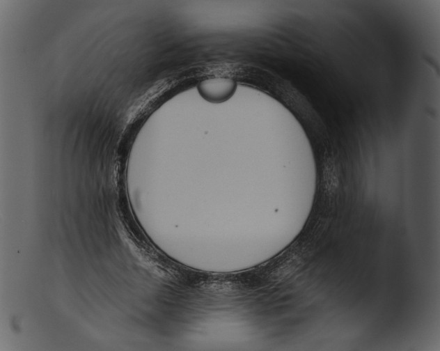 X0000103270730200809261201