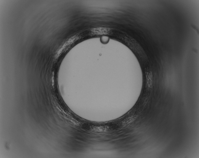 X0000103270731200809261202