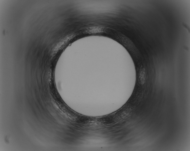 X0000103270732200809261202