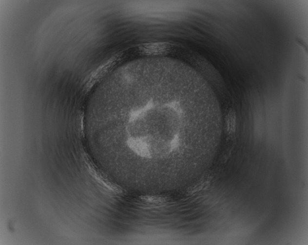 X0000103270733200809261202