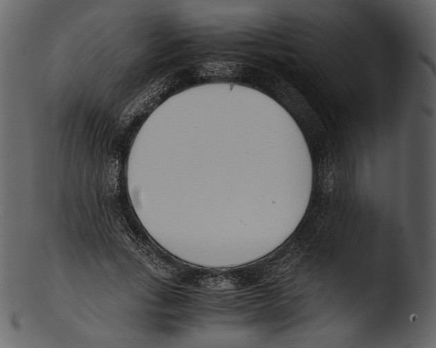 X0000103270735200809261202