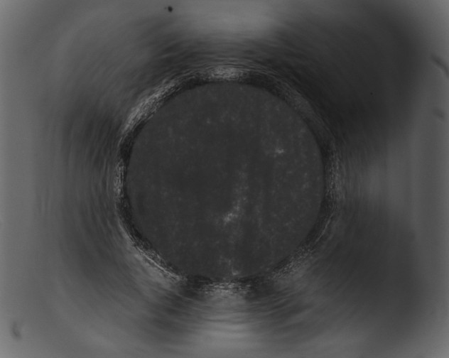 X0000103270736200809261202