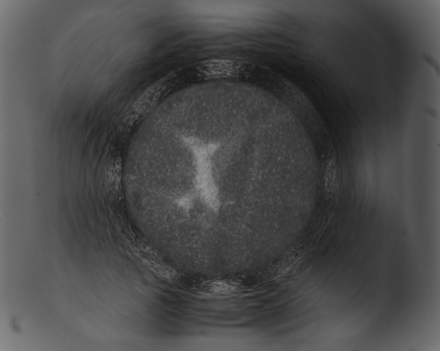 X0000103270737200809261202
