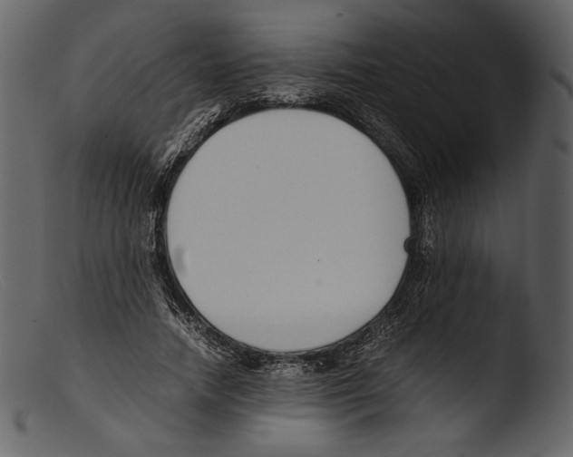 X0000103270738200809261202