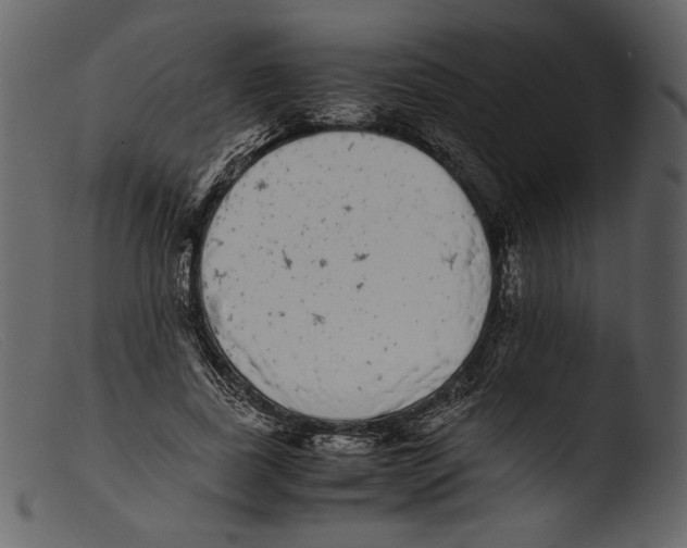 X0000103270739200809261202