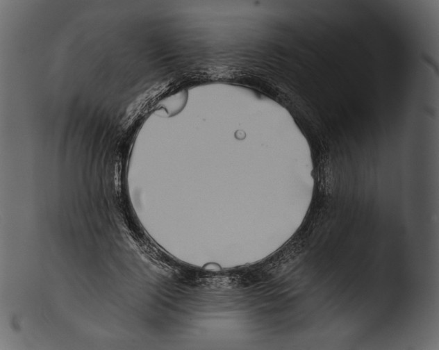 X0000103270740200809261202