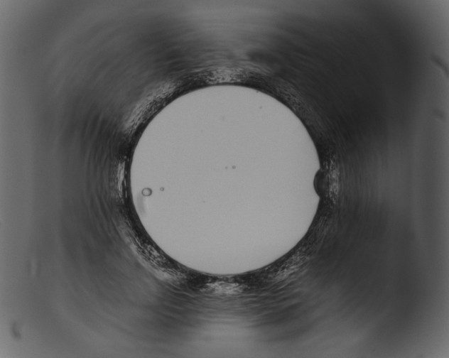 X0000103270742200809261202