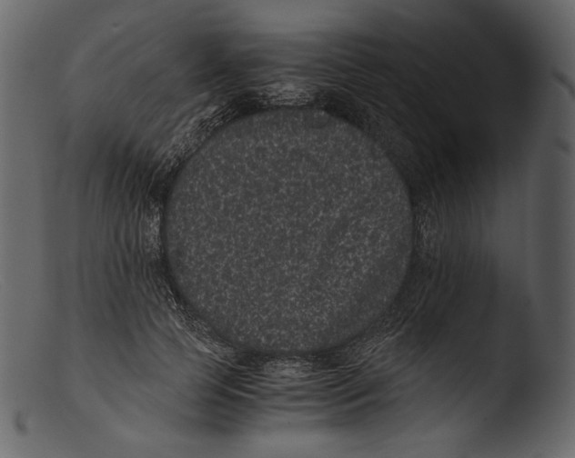 X0000103270745200809261202