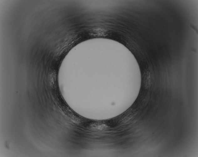 X0000103270747200809261202