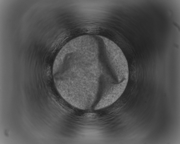 X0000103270748200809261202