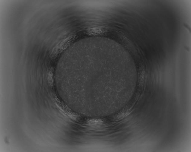 X0000103270749200809261202