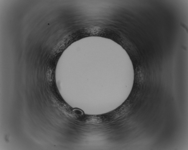 X0000103270750200809261202