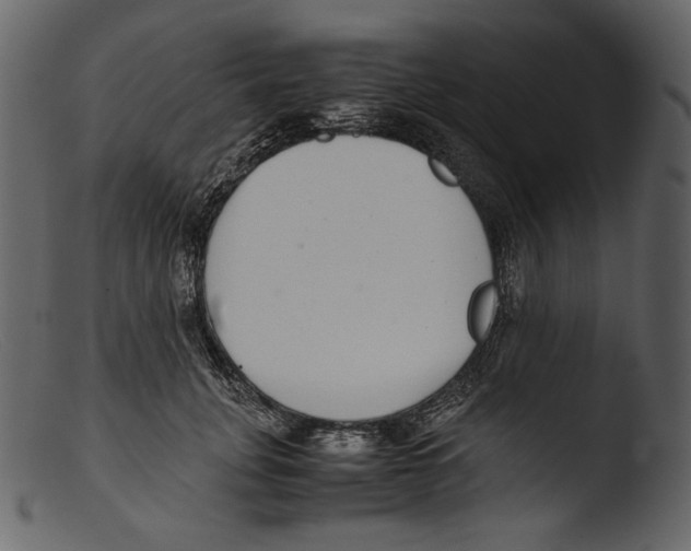 X0000103270751200809261202