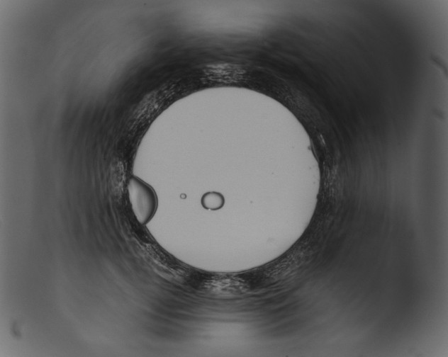 X0000103270752200809261202