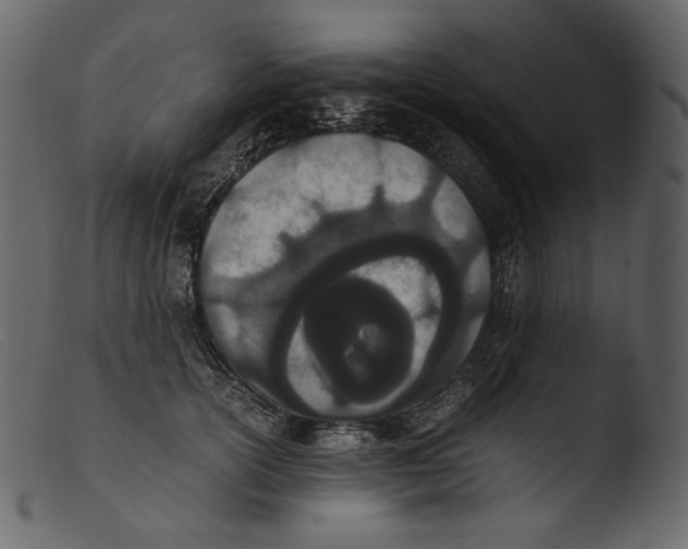 X0000103270754200809261202