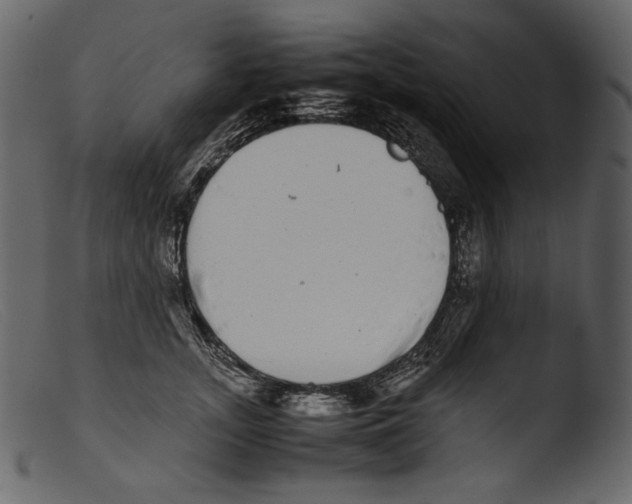 X0000103270755200809261202