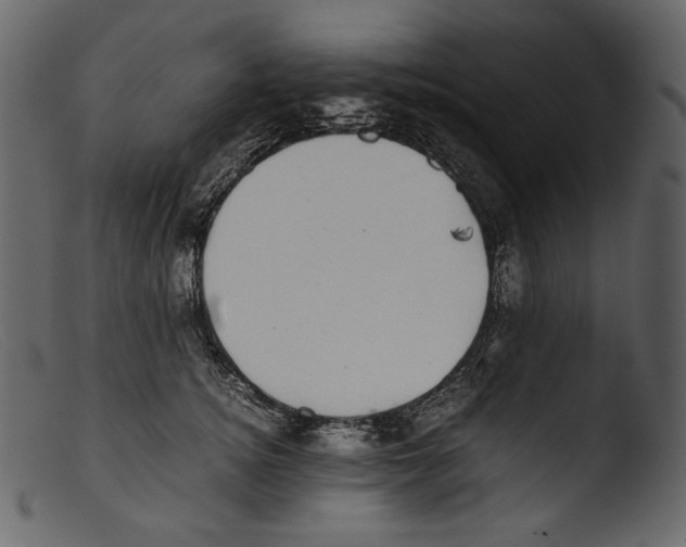 X0000103270756200809261202