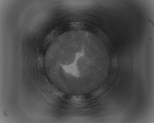 X0000103270757200809261202