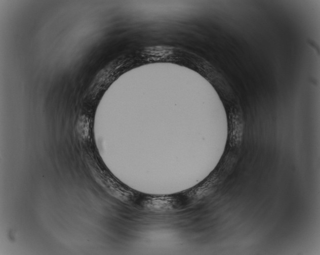 X0000103270758200809261202