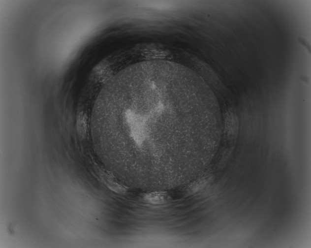 X0000103270761200809261202