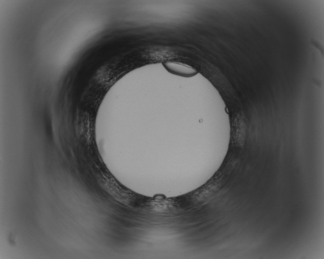 X0000103270762200809261202
