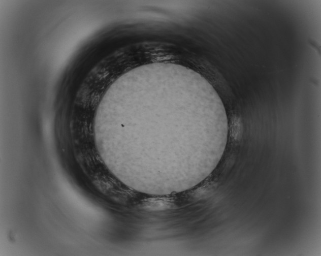 X0000103270763200809261202