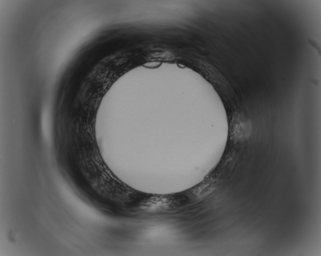 X0000103270764200809261202