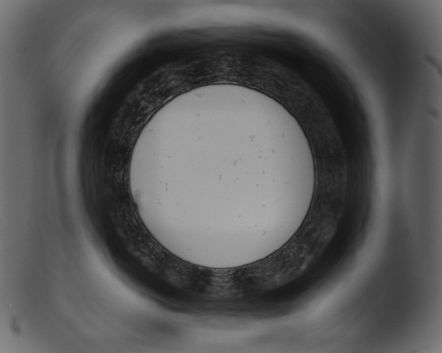 X0000103270766200809261202