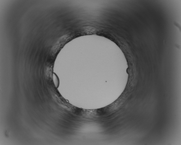 X0000103270768200809261202