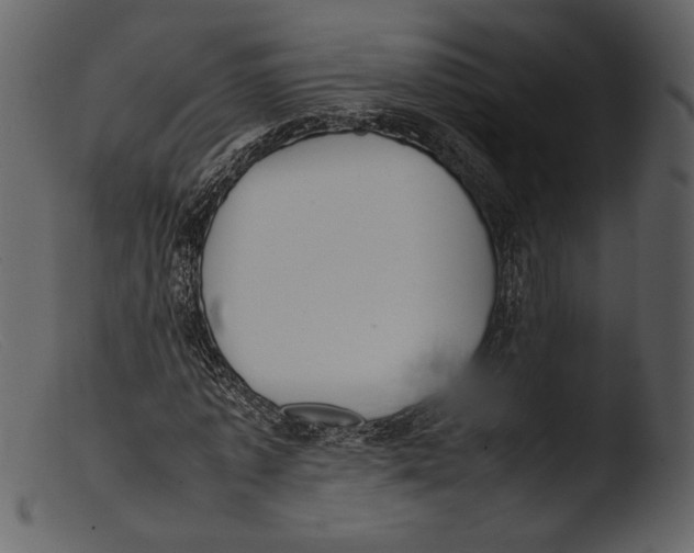 X0000103270773200809261201