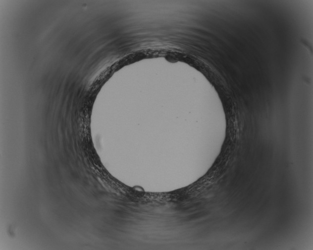 X0000103270775200809261201