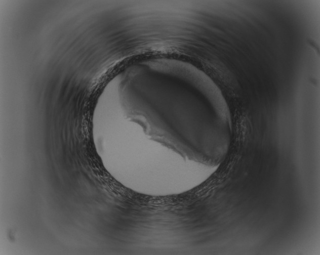 X0000103270776200809261201