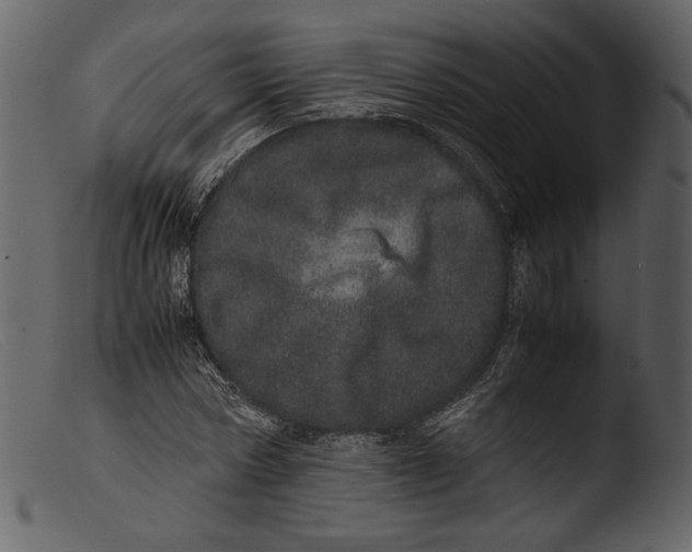 X0000103270778200809261201
