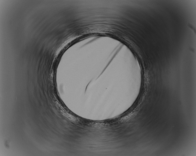 X0000103270779200809261201