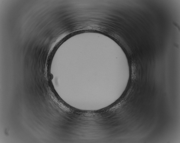 X0000103270780200809261201
