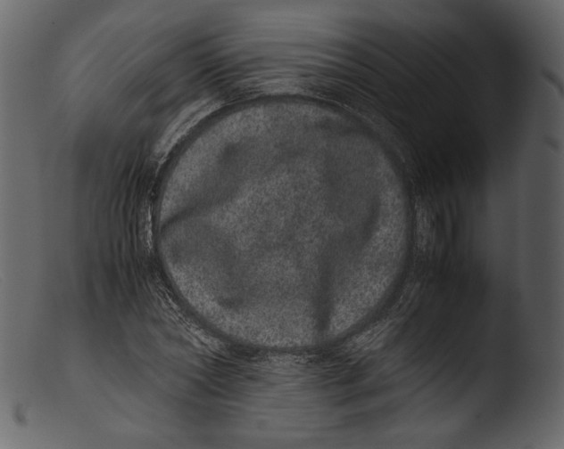 X0000103270782200809261201